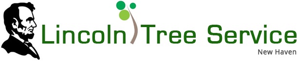 Lincoln Tree Service - Logo