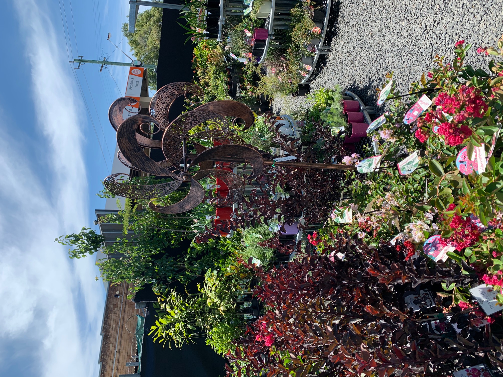 Lismore Garden Centre - Logo
