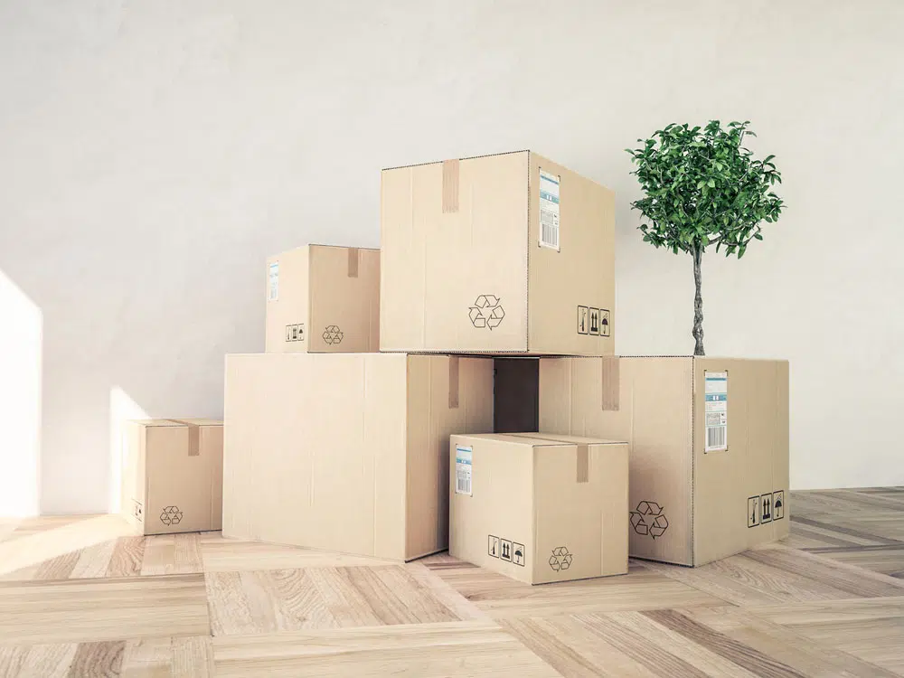 Lite Moves Furniture Removals - Logo