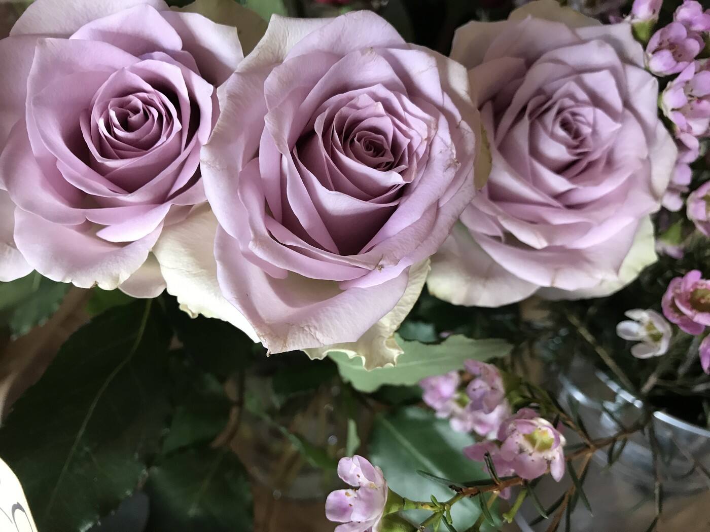 Little Magnolia Florist - Cover photo