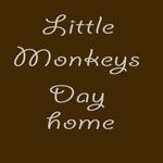 Little Monkeys Day Home - Logo