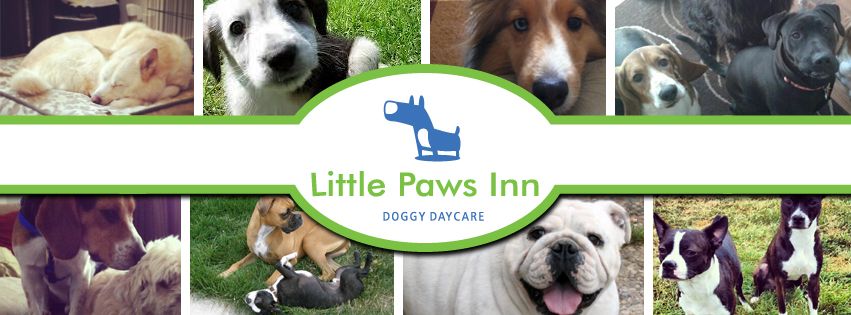 Little Paws Inn - Logo