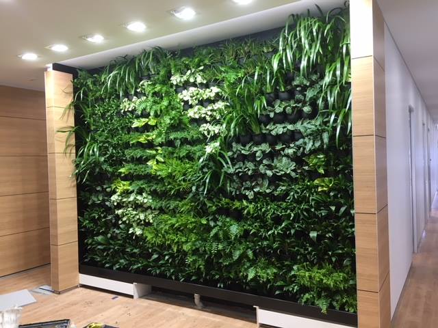 Living Green Indoor Plant Hire - Cover photo