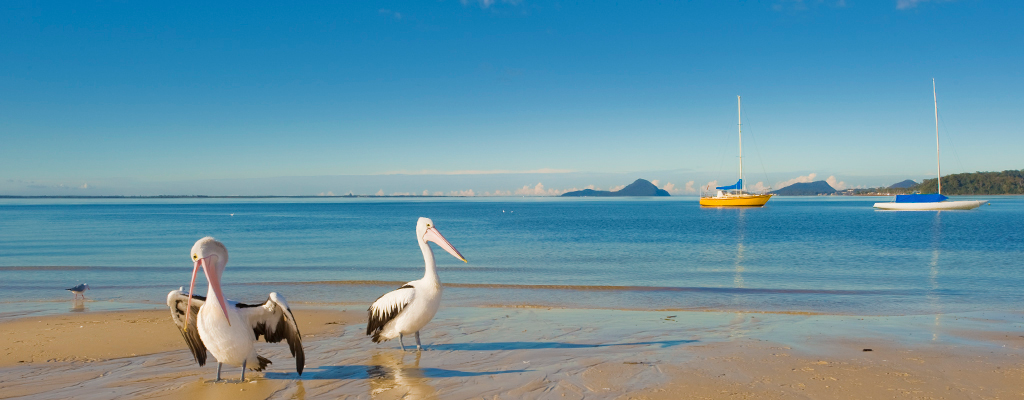 L J Hooker Nelson Bay - Logo