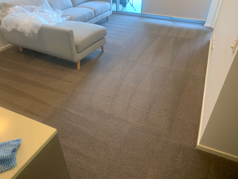 Local Lad Carpet & Tile Care - Logo