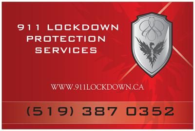 LOCKDOWN SECURITY - Logo