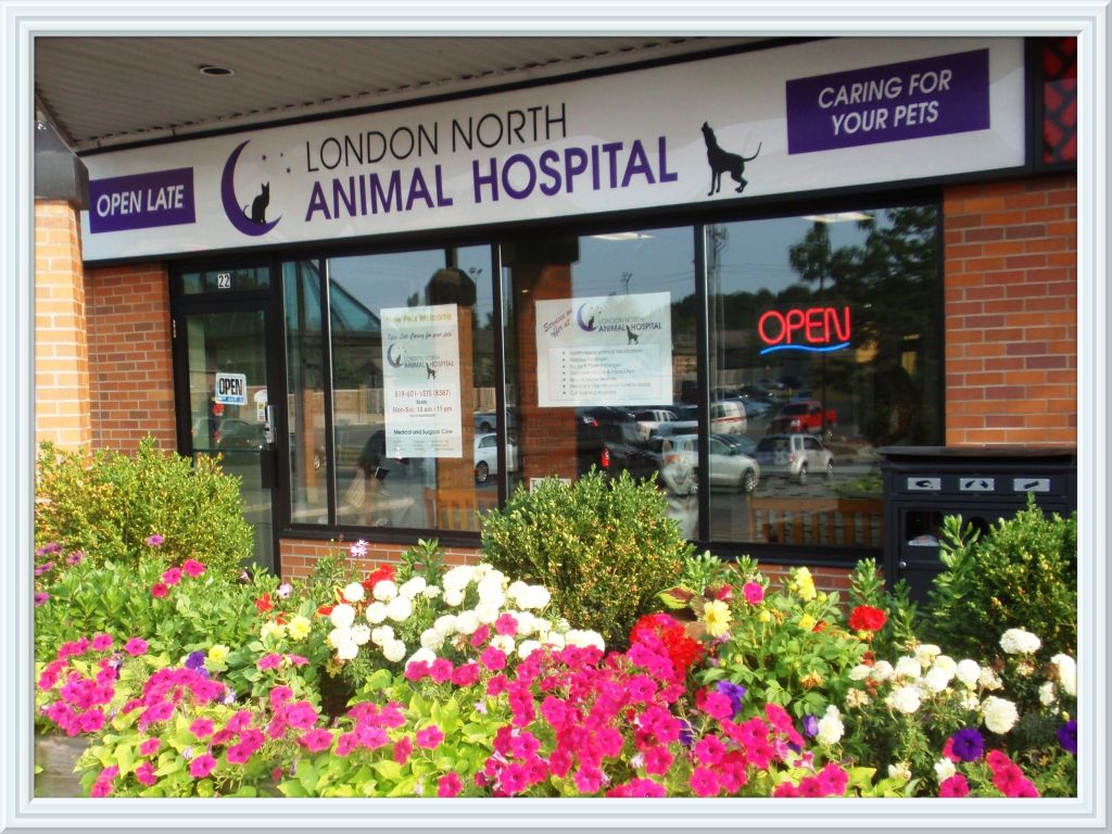 London North Animal Hospital - Logo