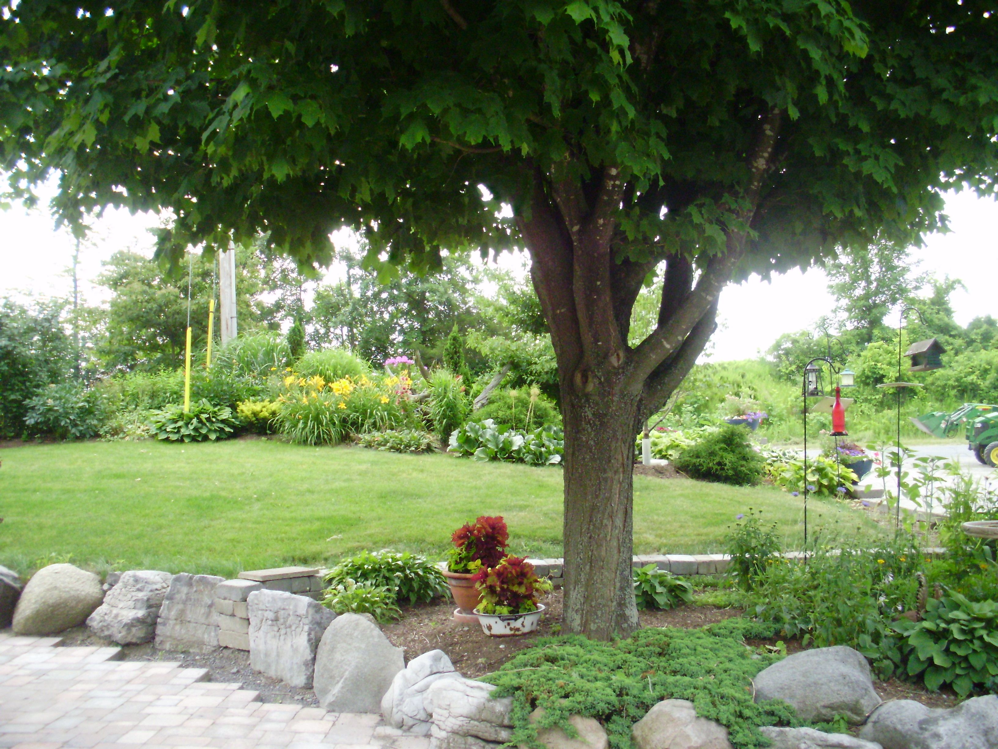 Loney Landscaping Limited - Cover photo