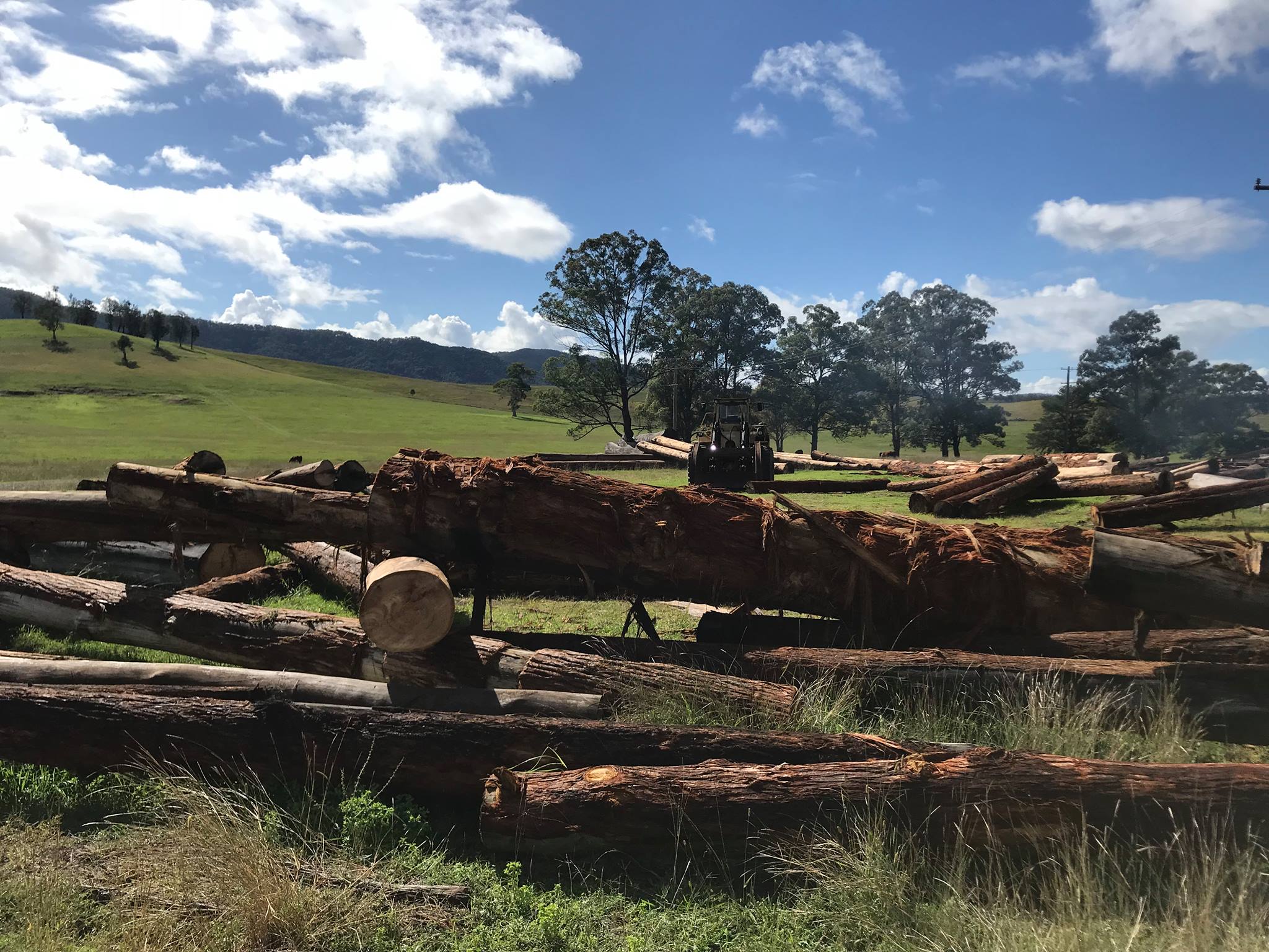 Long Flat Timbers - Cover photo