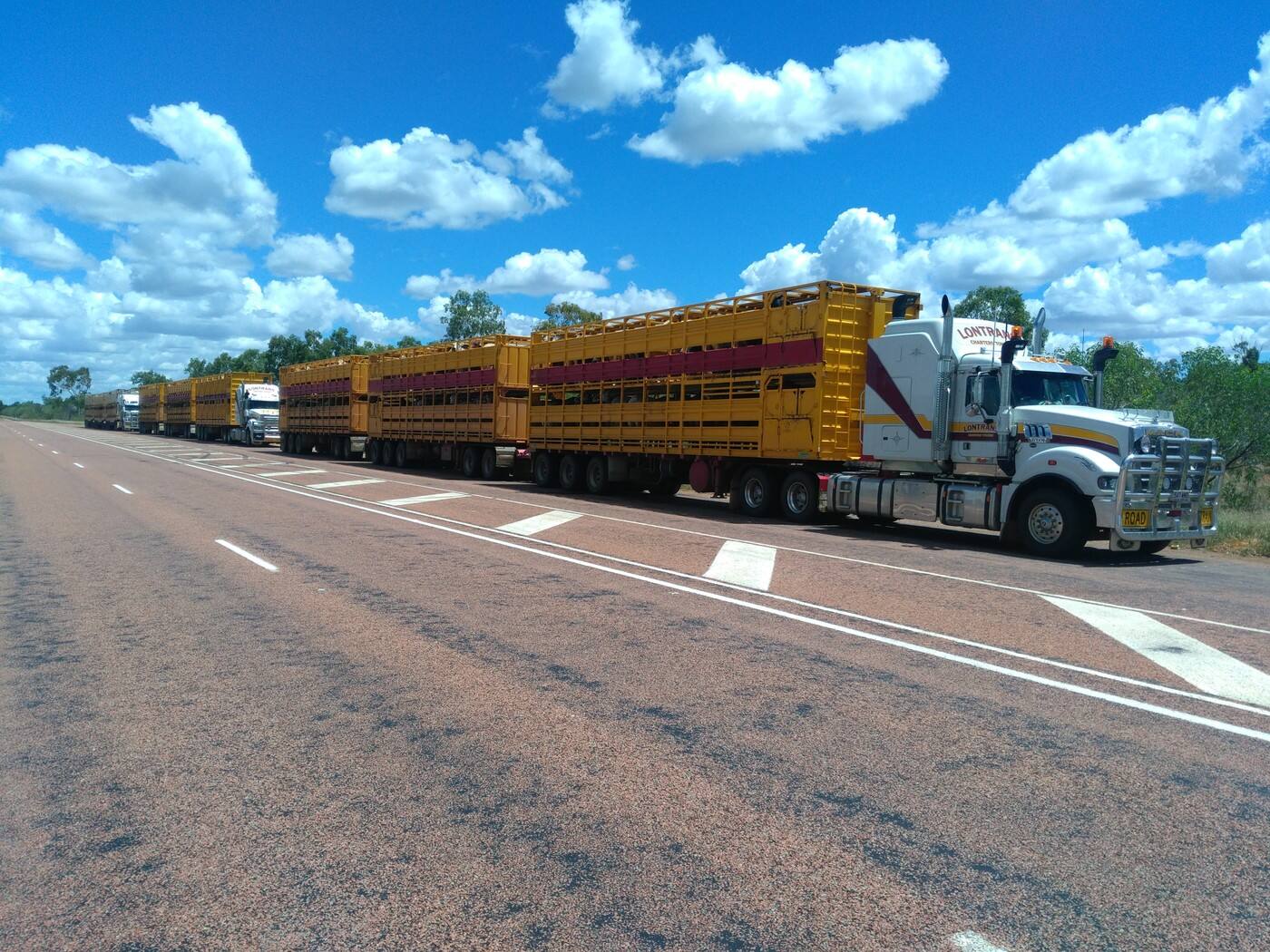 Lontrans Pty Ltd - Cover photo