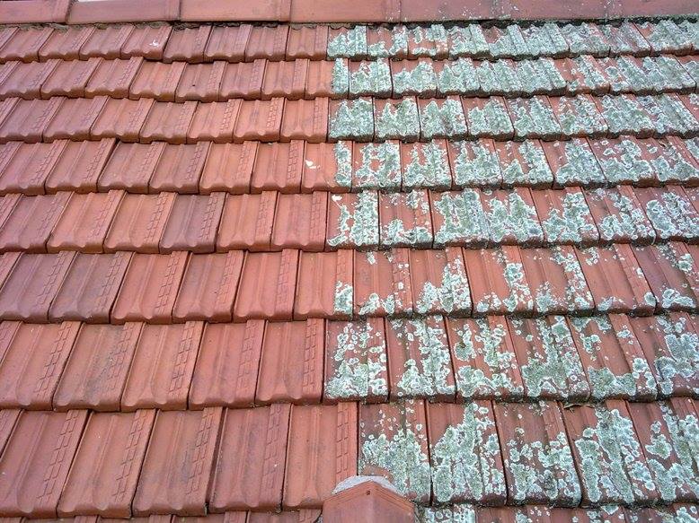 Lookup Roof Restoration - Logo