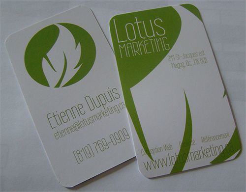 Lotus Marketing - Cover photo
