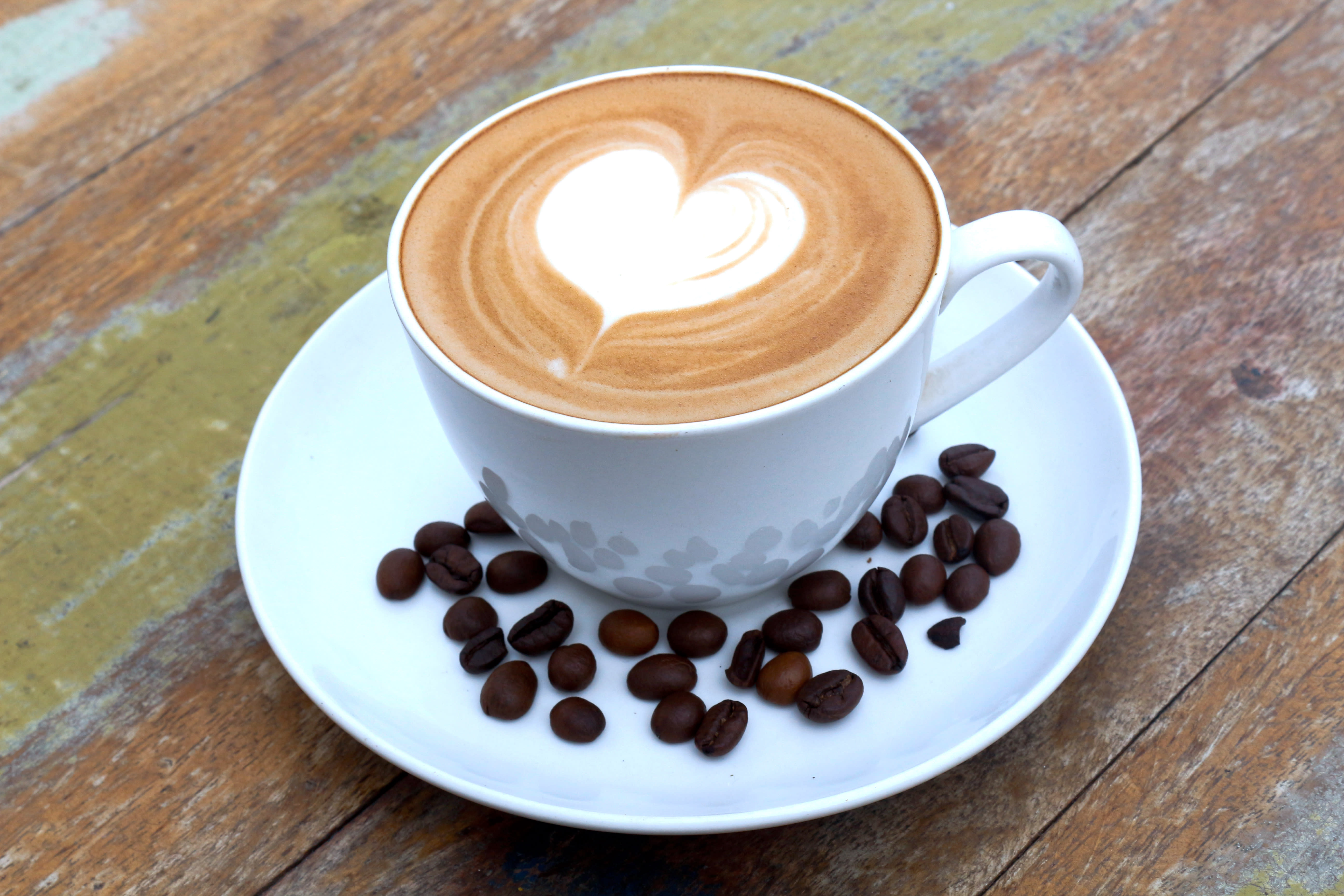Love Over Coffee - Tonk Road - Logo