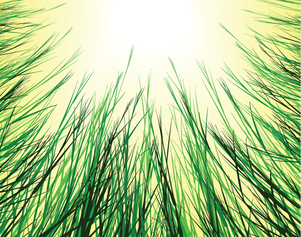 LP Lawn Maintenance - Cover photo