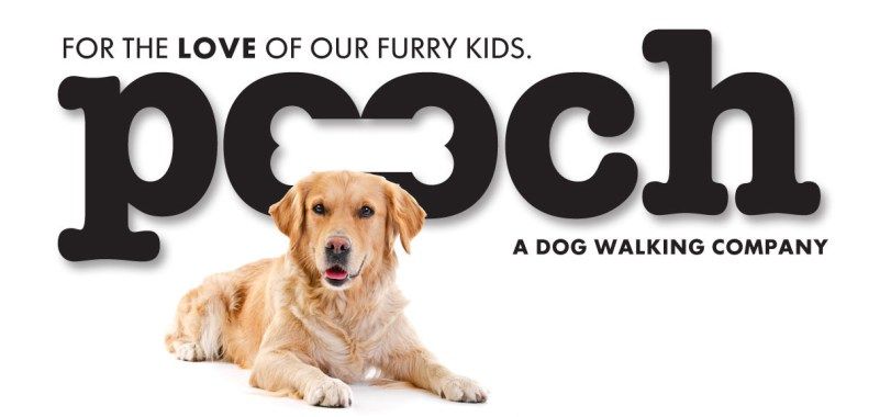 lPooch Dog Walking - Logo
