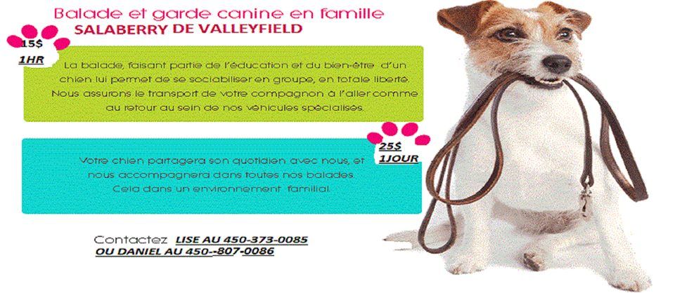 L&s;amie des Pitoux - Logo