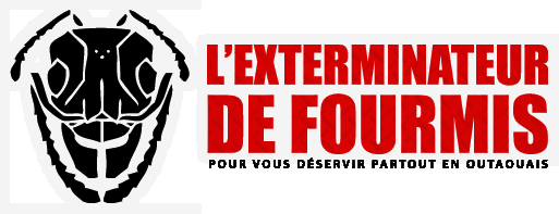 L&s; Exterminateur de Fourmis - Logo