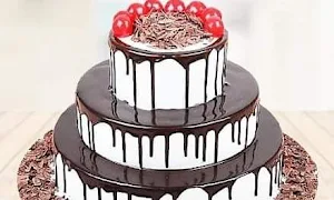 Lucknow Bakery - Logo