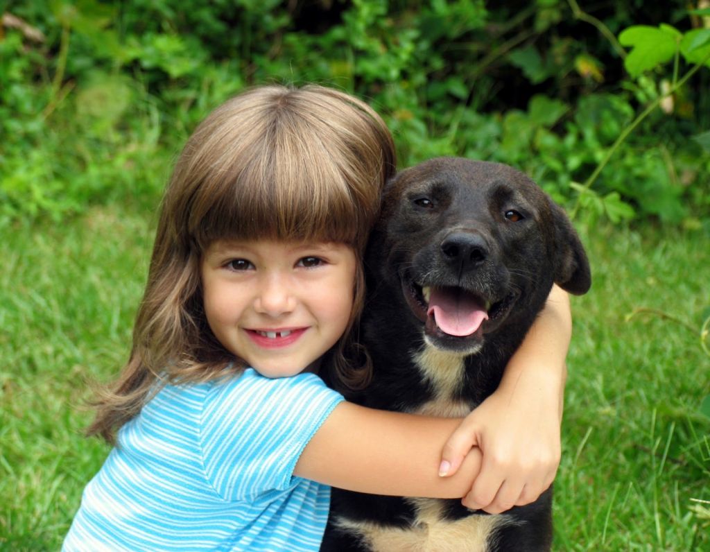 Lynne&s;s Dog Grooming &a; In Home Dog Boarding - Logo