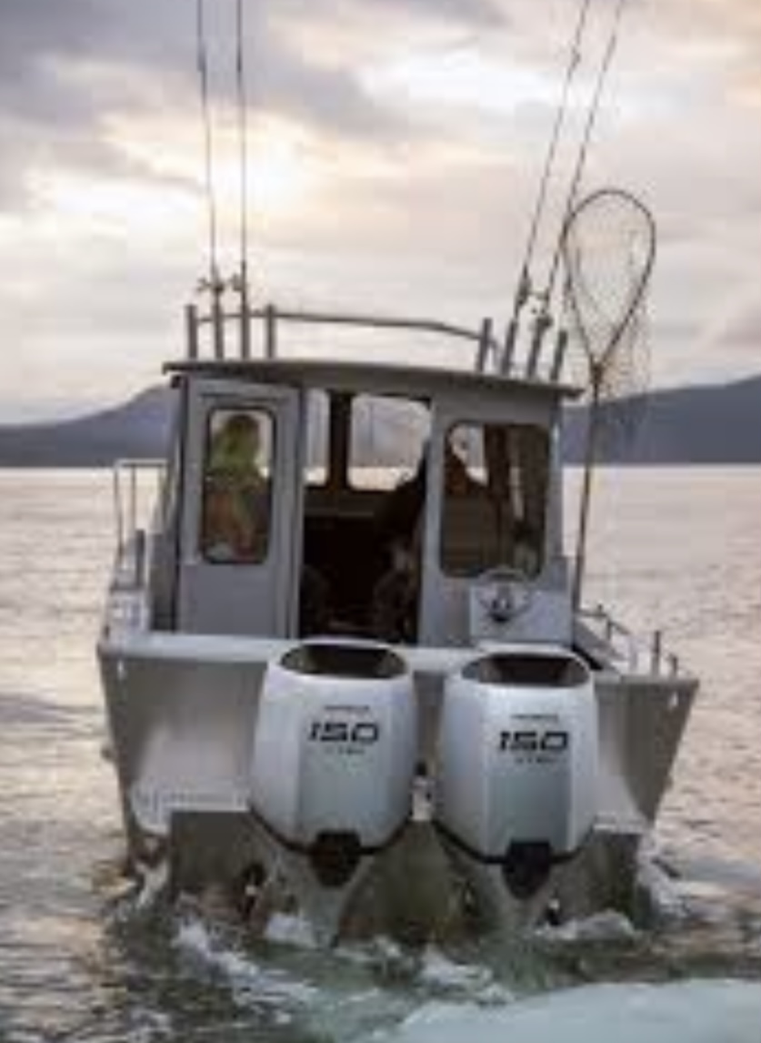 Mackay Marine Services - Logo