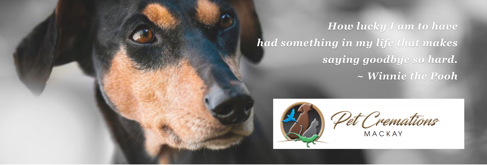 Mackay Pet Cremations - Cover photo