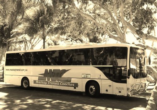 Mackay Transit Coaches - Logo
