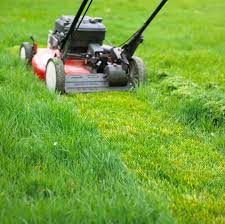 Mad About Mowing and Maintenance - Logo