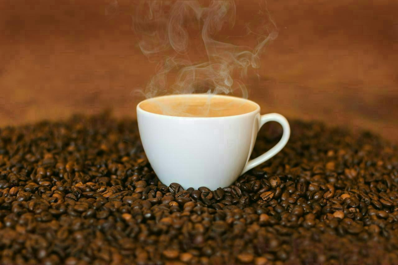 Madras Coffee House - Logo