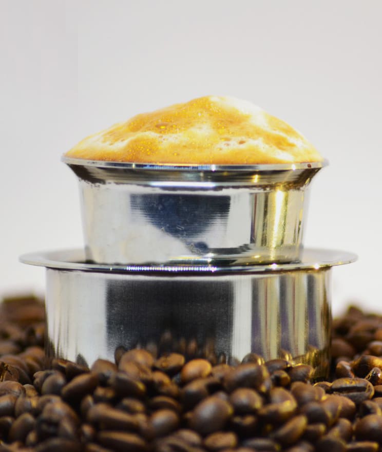 Madras Coffee House - Logo