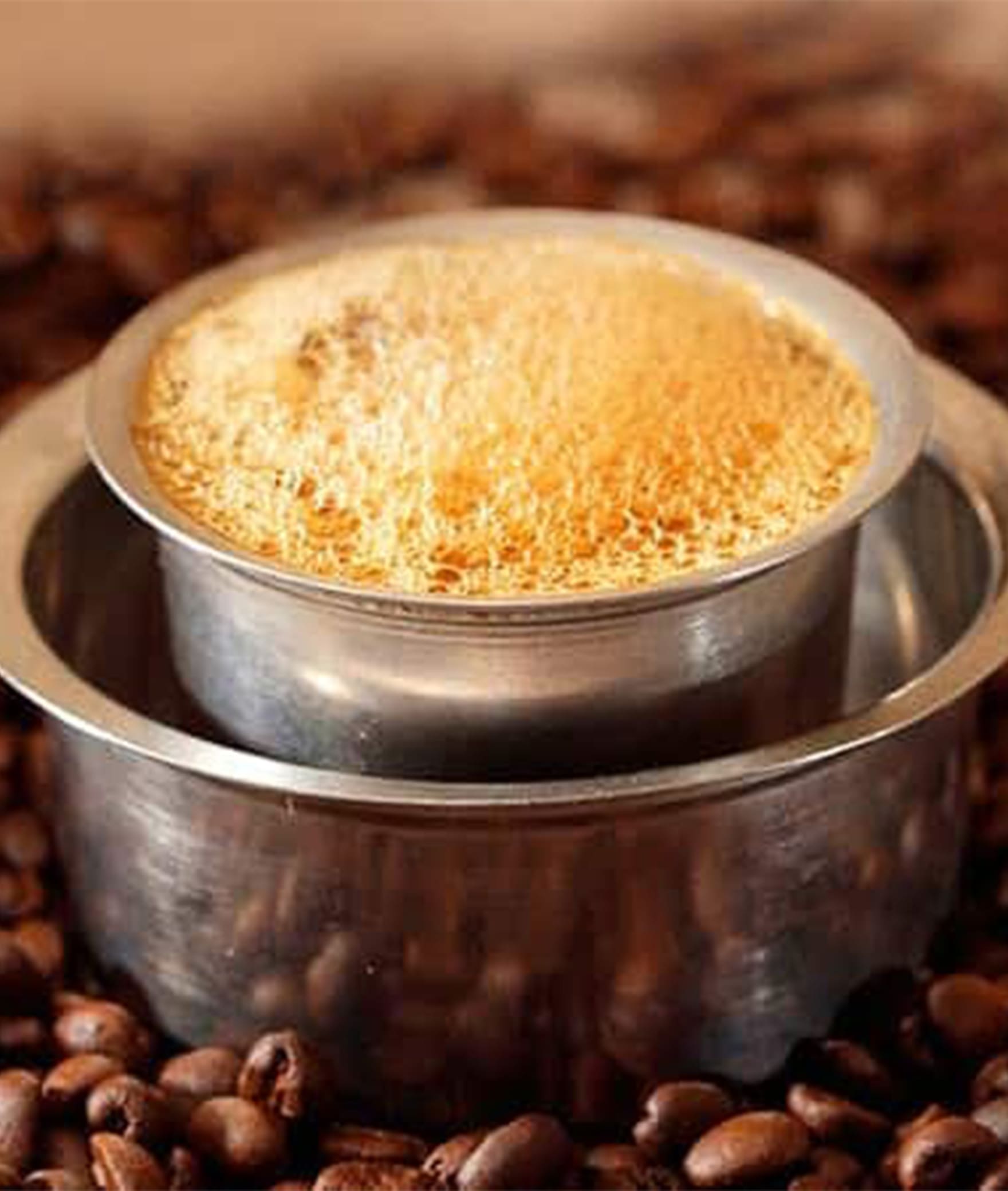Madras Coffee House - Logo
