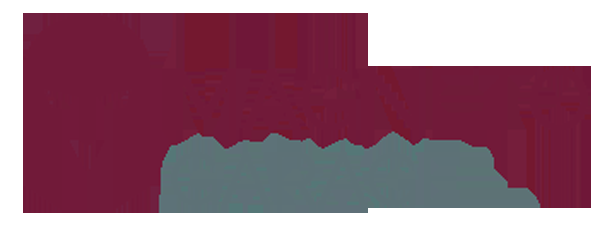 Magneto Garage - Logo