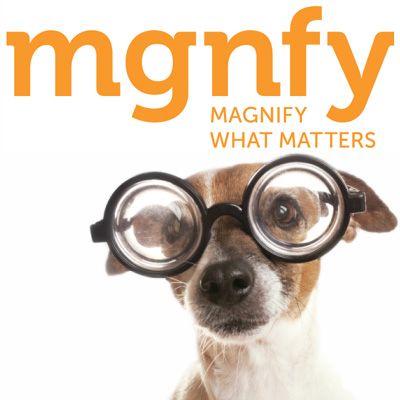 Magnify Digital Inc. - Logo