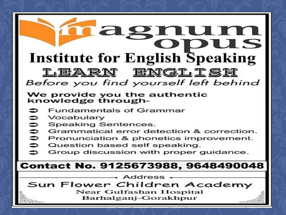 Magnum Opus Institute - Cover photo