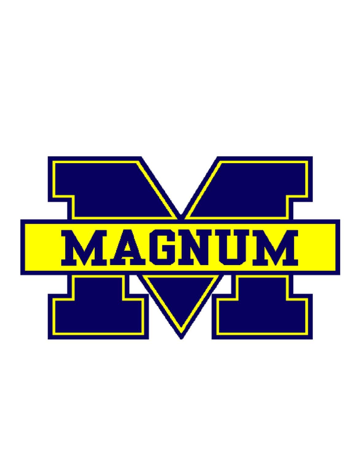 Magnum Security Systems - Logo