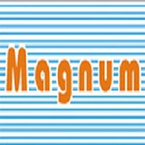 Magnum TeleSystem - Logo