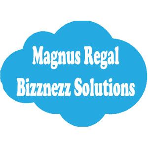 Magnus Regal Bizznezz Solutions - Cover photo
