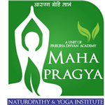 Mahapragya Naturopathy Yoga Institute - Logo