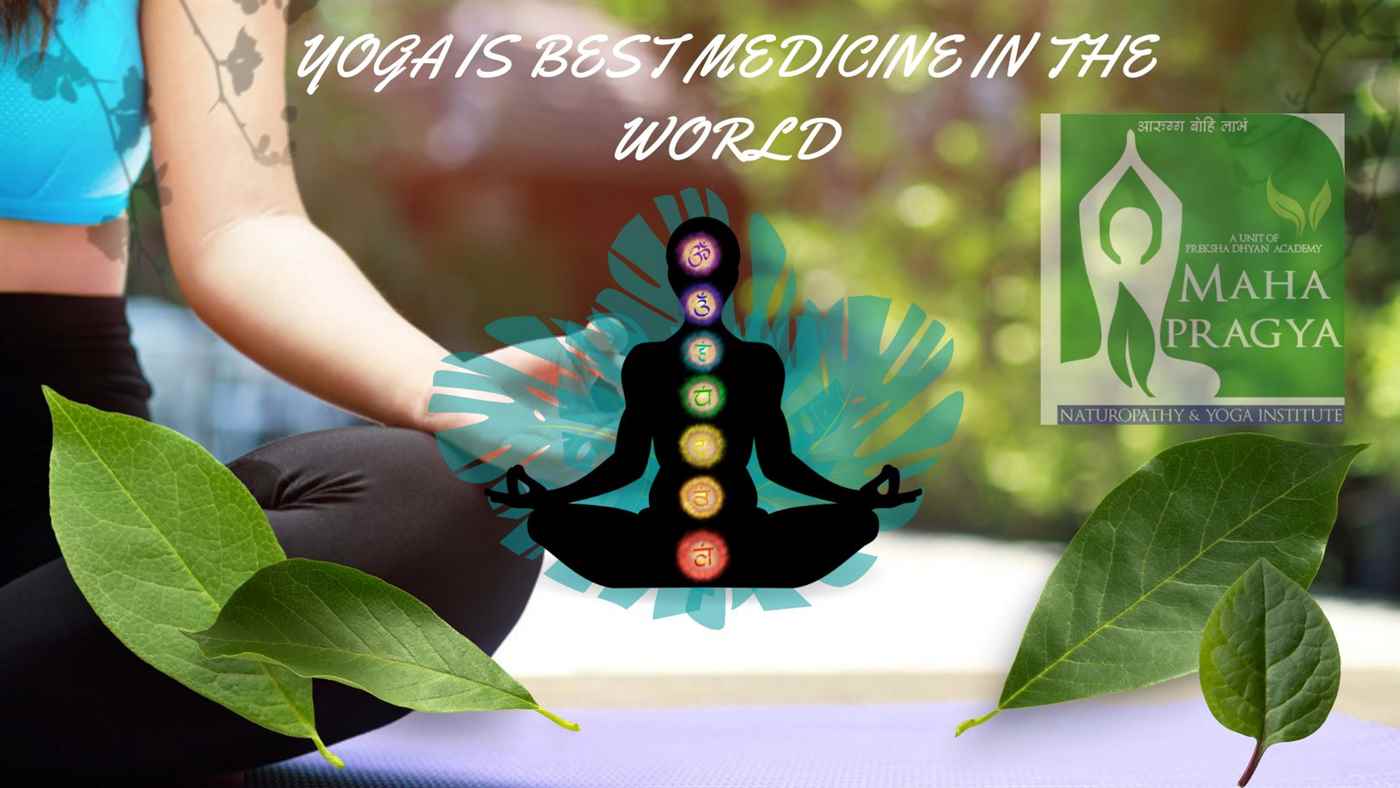 Mahapragya Naturopathy Yoga Institute - Cover photo