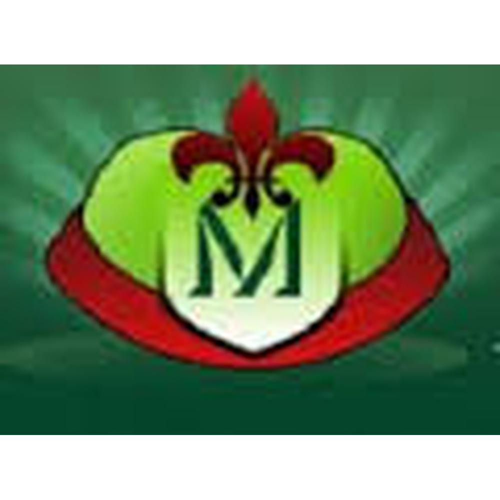 Maharaja Surajmal Teachers Training College (MSTTC) - Logo