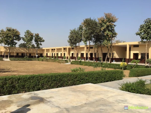 Maheshwari Nursing and Paramedical - Logo
