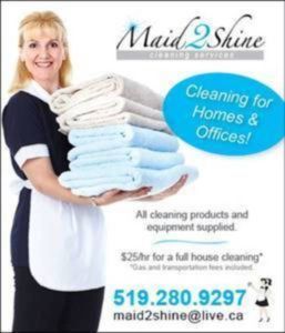 Maid2shine - Logo