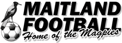 Maitland Football Club - Logo