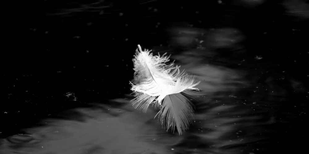 Make Me Pure - Cover photo