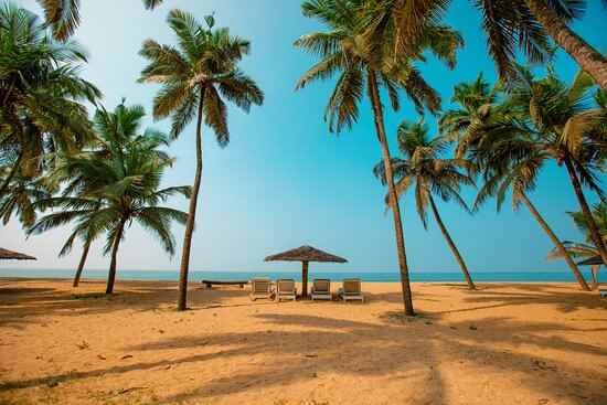 Malabar Ocean Front Resort And Spa - Cover photo