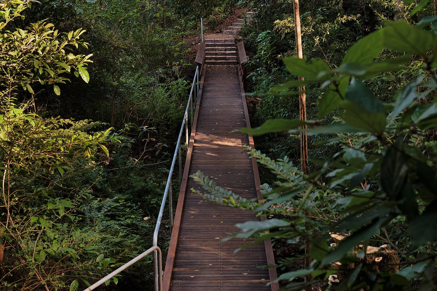Maleny Wildlife Holiday House - Logo