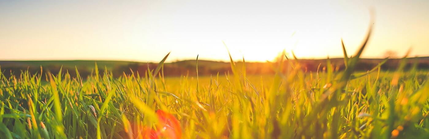 M & A Mowing & Maintenance - Cover photo