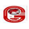 Management & Commerce Institute of Global Synergy (MCIGS) - Logo