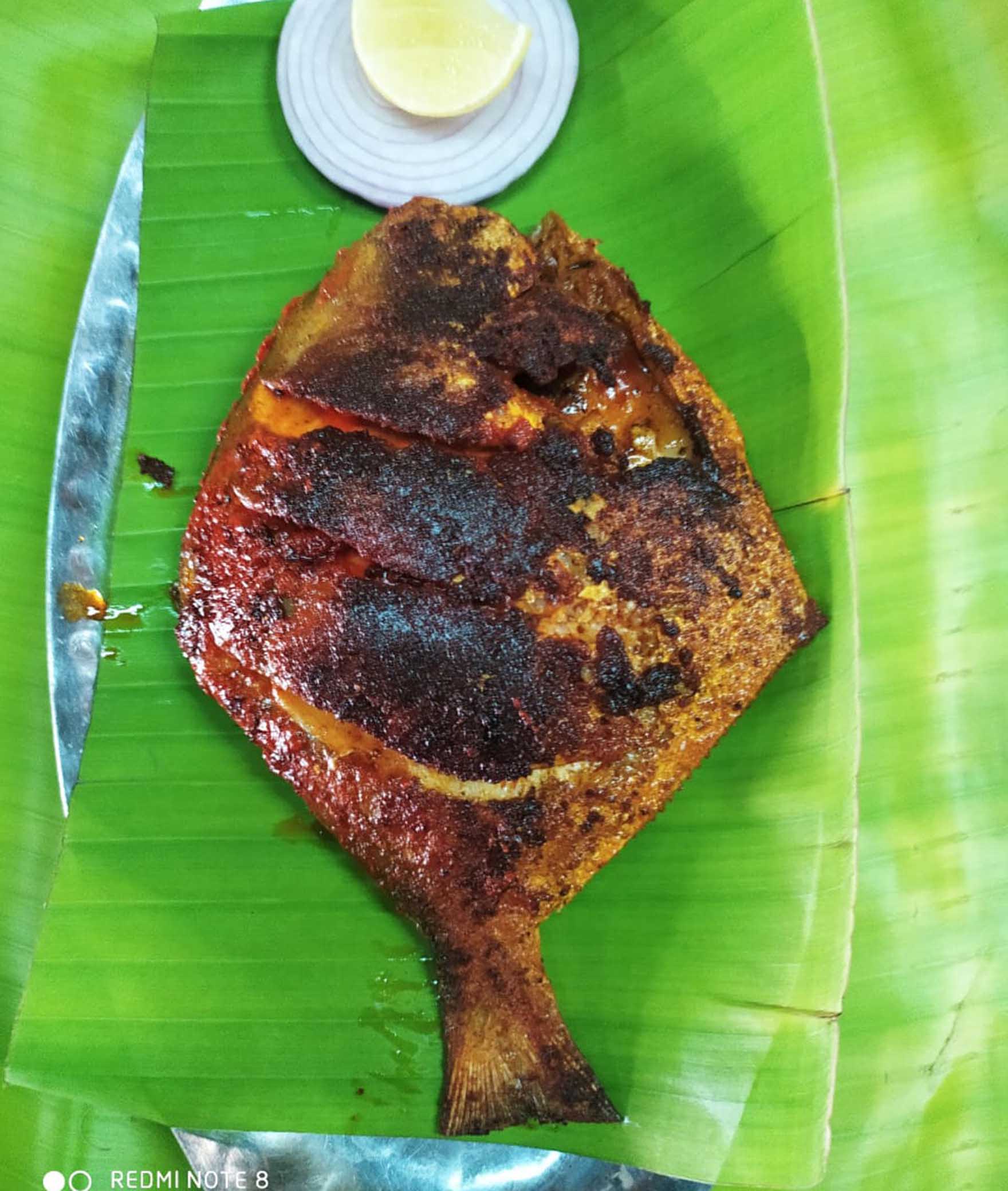 Manasa Fishland - Logo