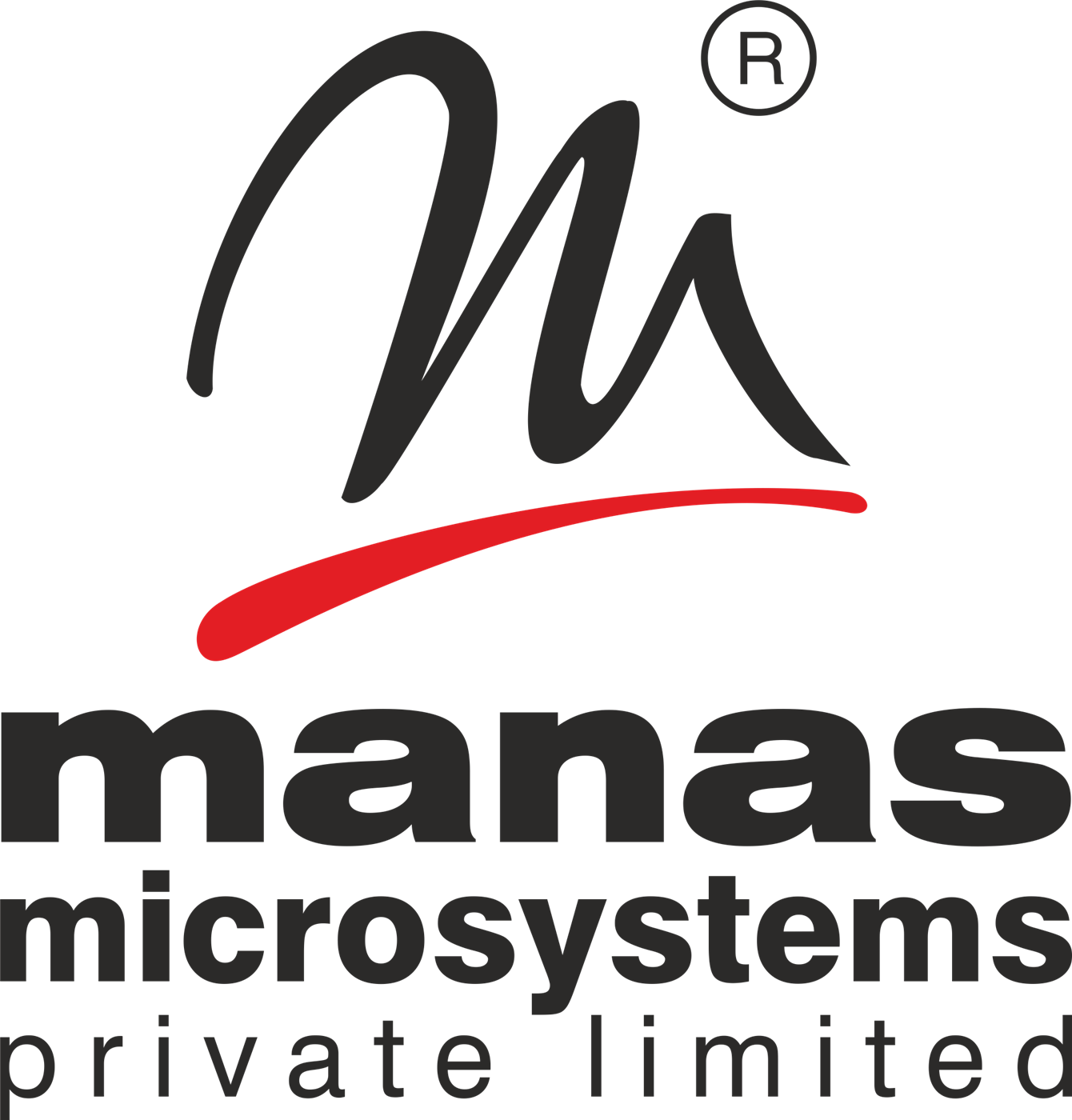 Manas Microsystem Pvt Ltd - Cover photo
