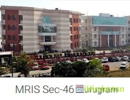 Manav Rachna International School, Sector 46 - Logo